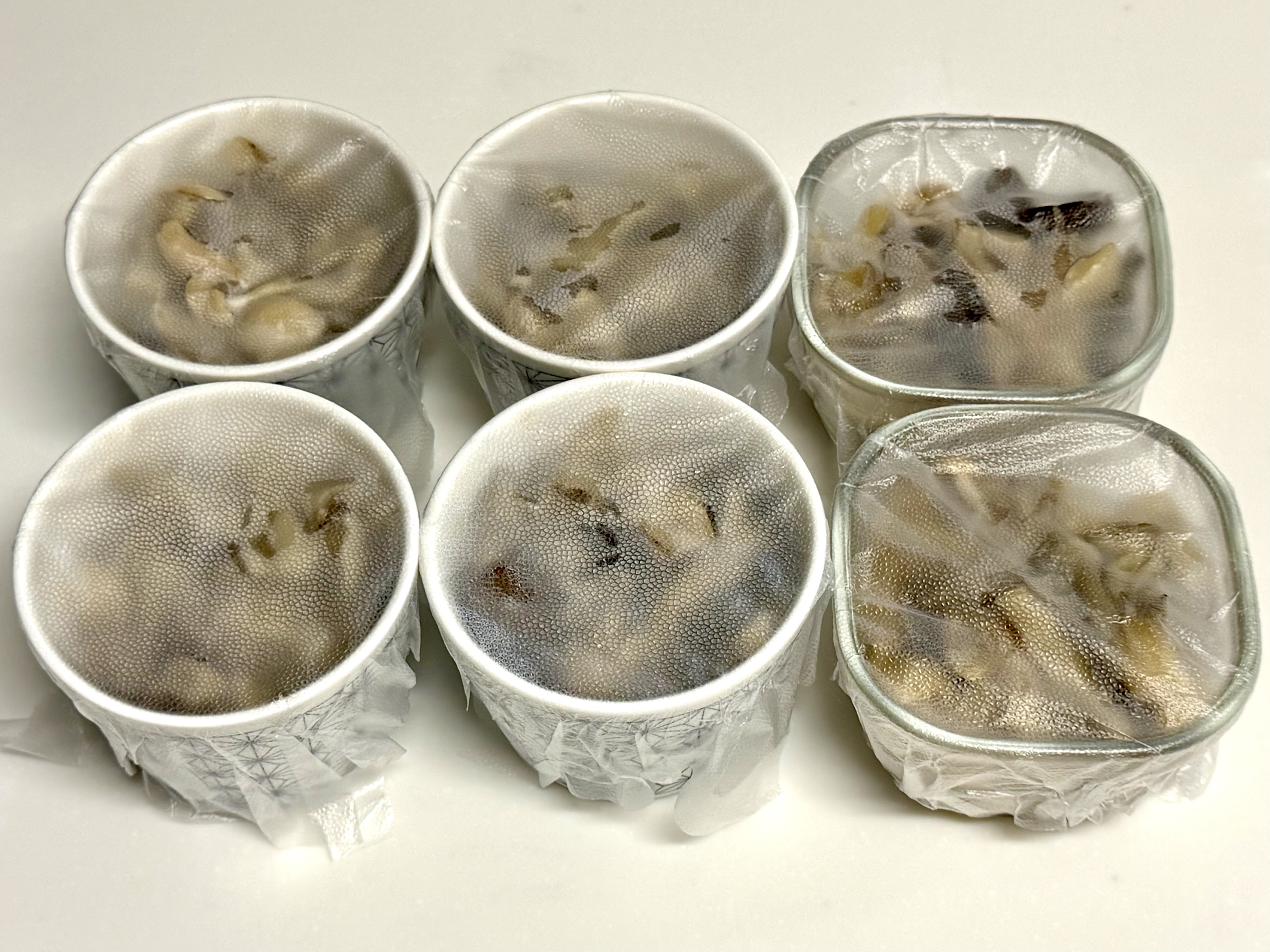 ラップをかけて保存準備完了の状態